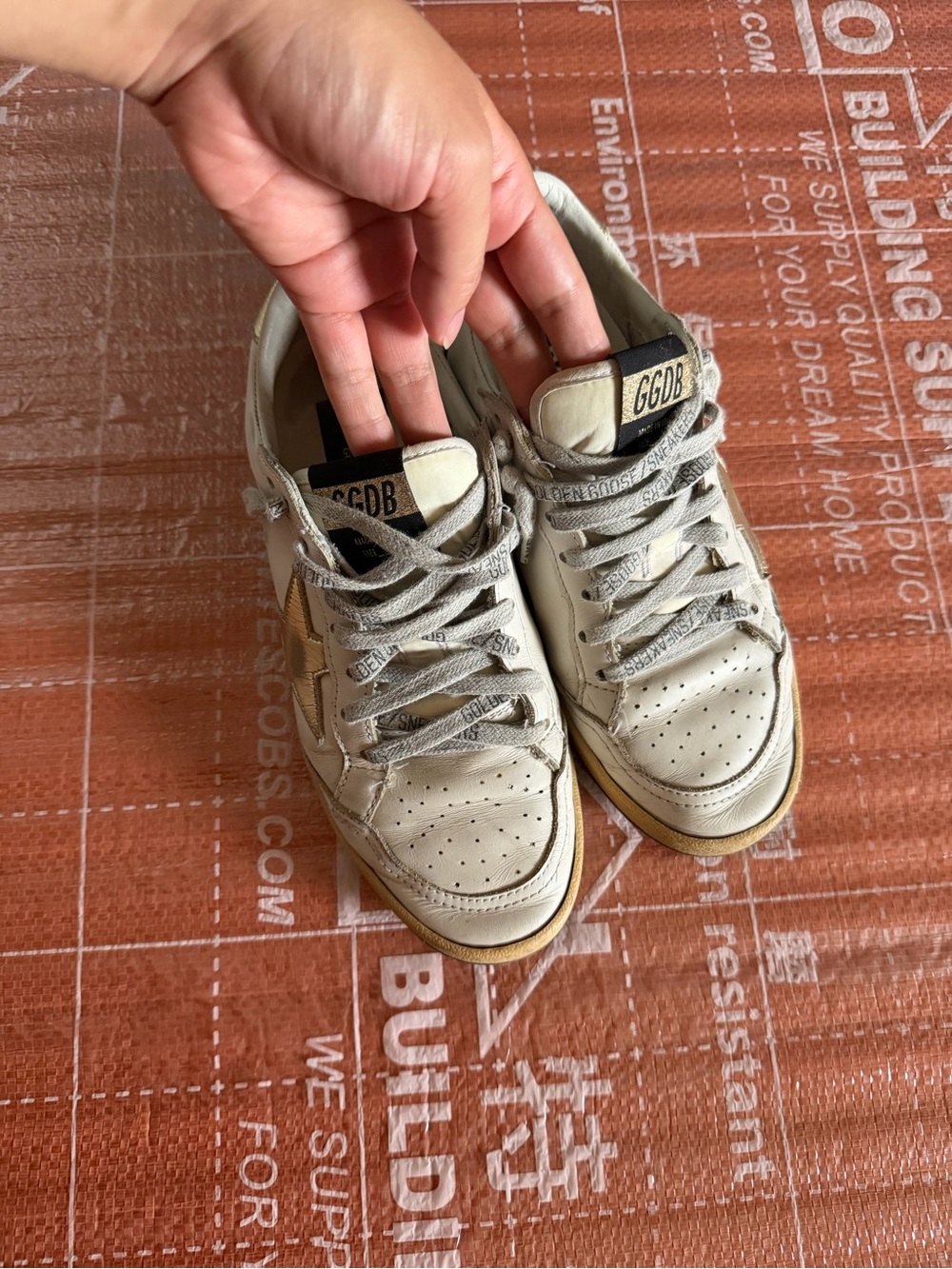 Golden goose